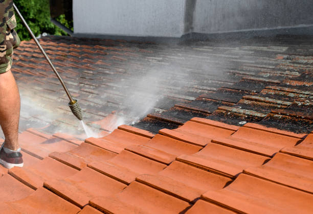 Roof Power Washing Services in Bacliff, TX